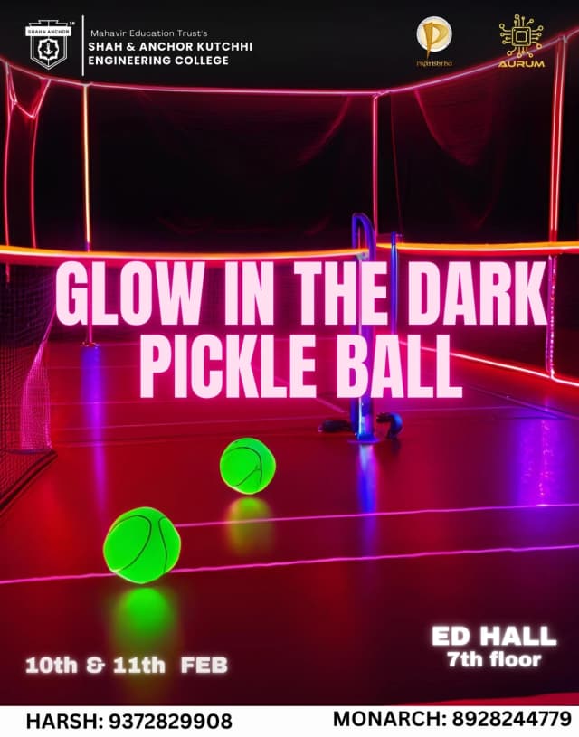 Glow in the Dark Pickle Ball